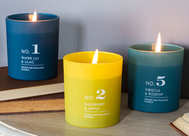 No. 2 Raspberry & Apple Candle
