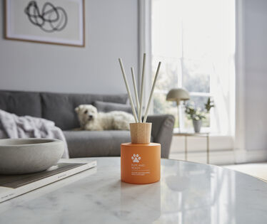 HomeScenter Ruff and Ready Reed Diffuser