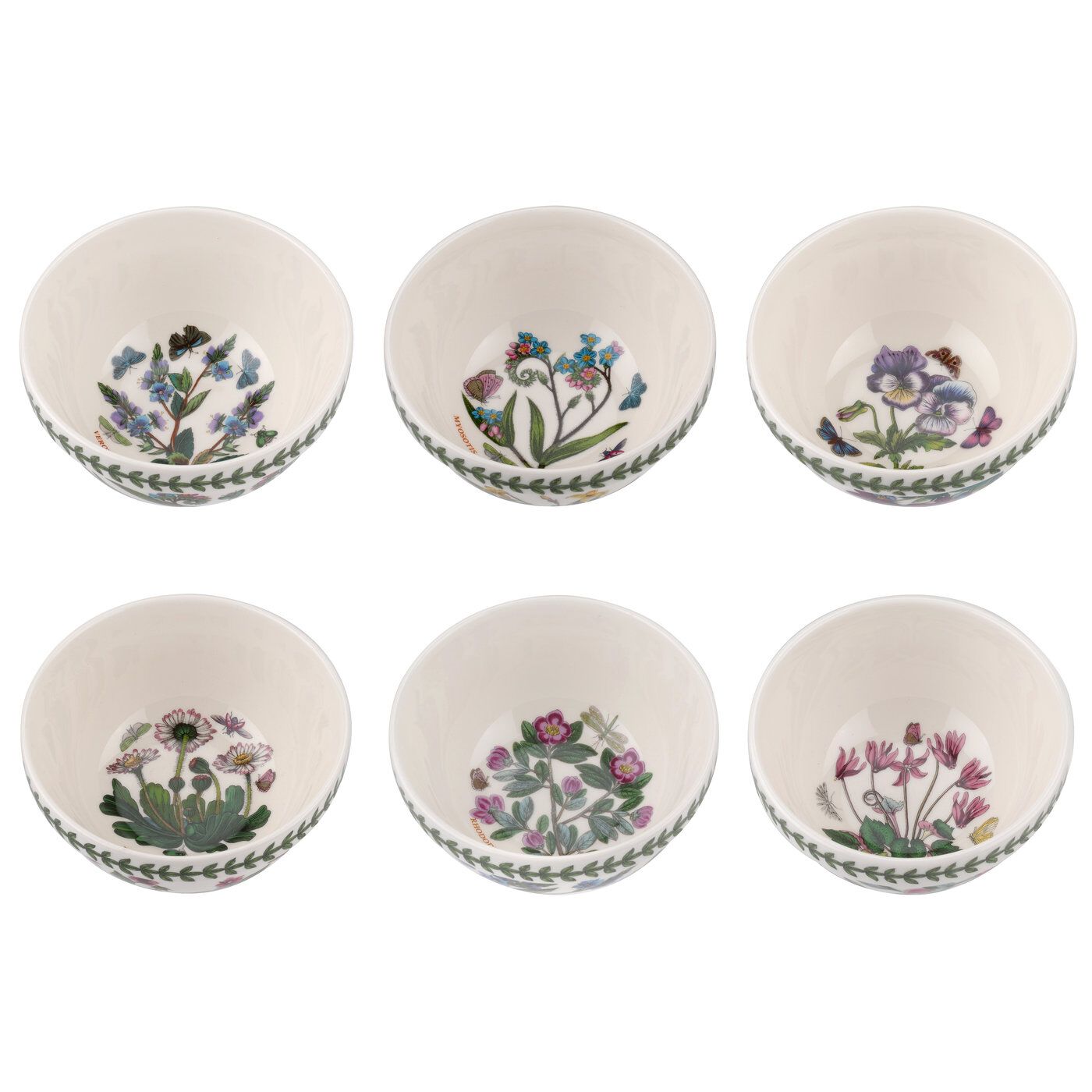 Botanic Garden Collection