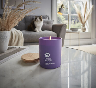 HomeScenter Paws for Thought Candle HomeScenter Paws for Thought Candle