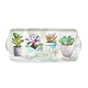 Succulents Sandwich Tray Succulents Sandwich Tray