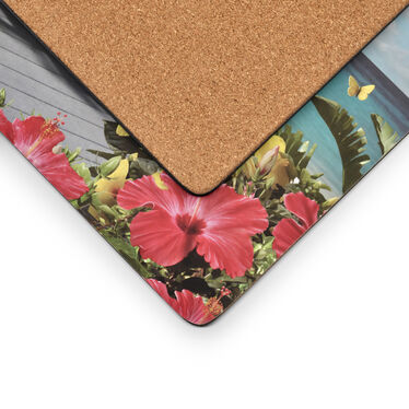 In the Sunshine Large Placemats set of 4 In the Sunshine Large Placemats set of 4