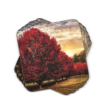 Crimson Trees Coaster Set of 6 Crimson Trees Coaster Set of 6
