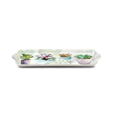 Succulents Sandwich Tray Succulents Sandwich Tray