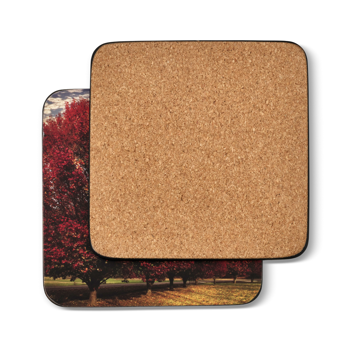 Crimson Trees Coaster Set of 6 image number null