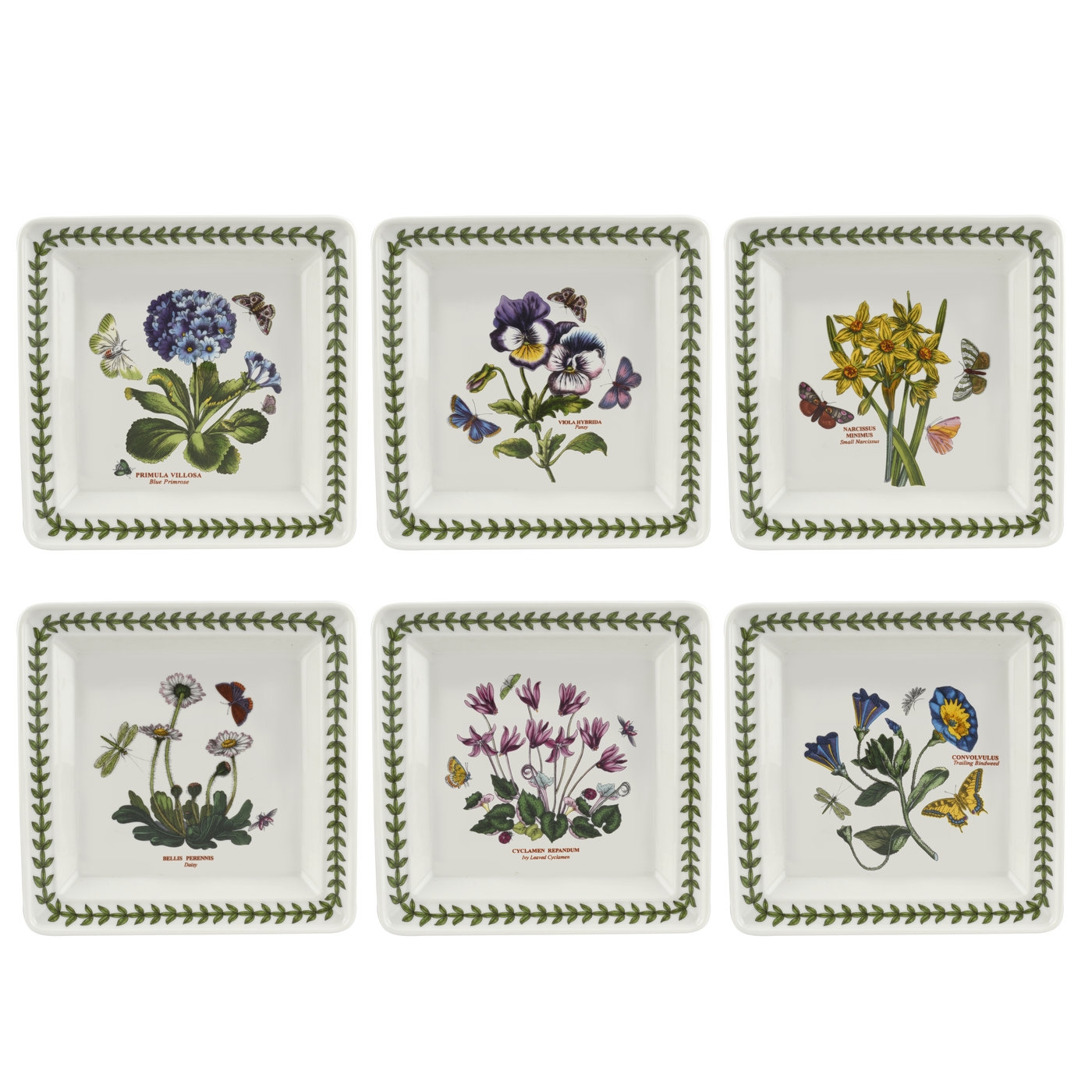 Botanic Garden 7 Inch Square Plate Set of 6 (Assorted Motifs) image number null
