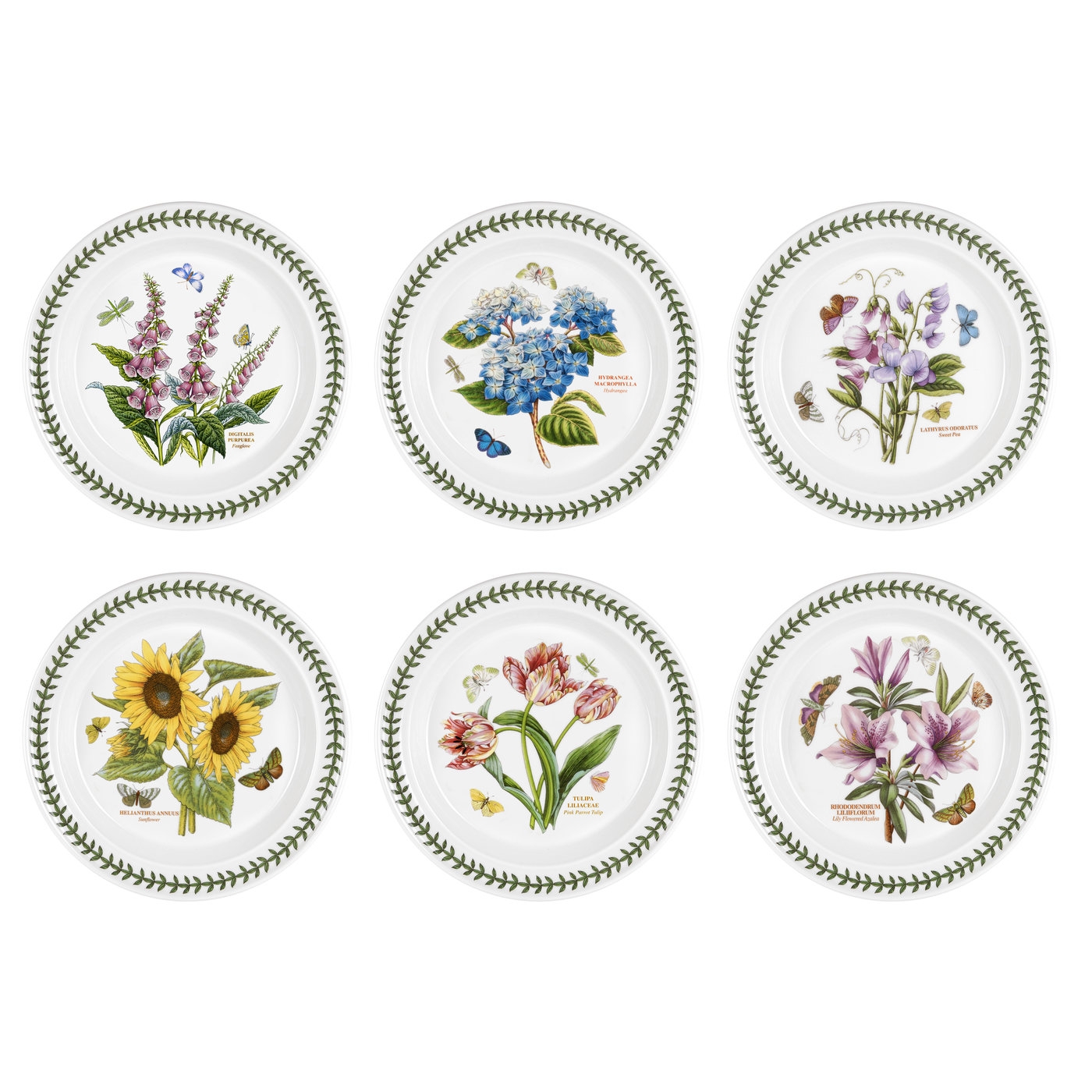 Portmeirion Botanic Garden Set of 9 Dinner Plates Assorted Motifs Portmeirion Botanic Garden Set of 9 Dinner Plates Assorted Motifs