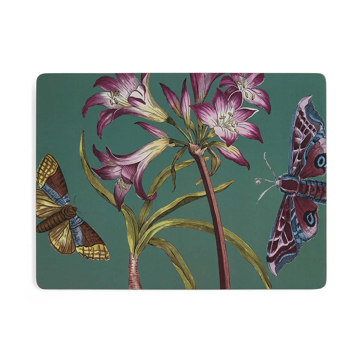 Botanic Garden Flora & Fauna Set of 4 Large Placemats image number null