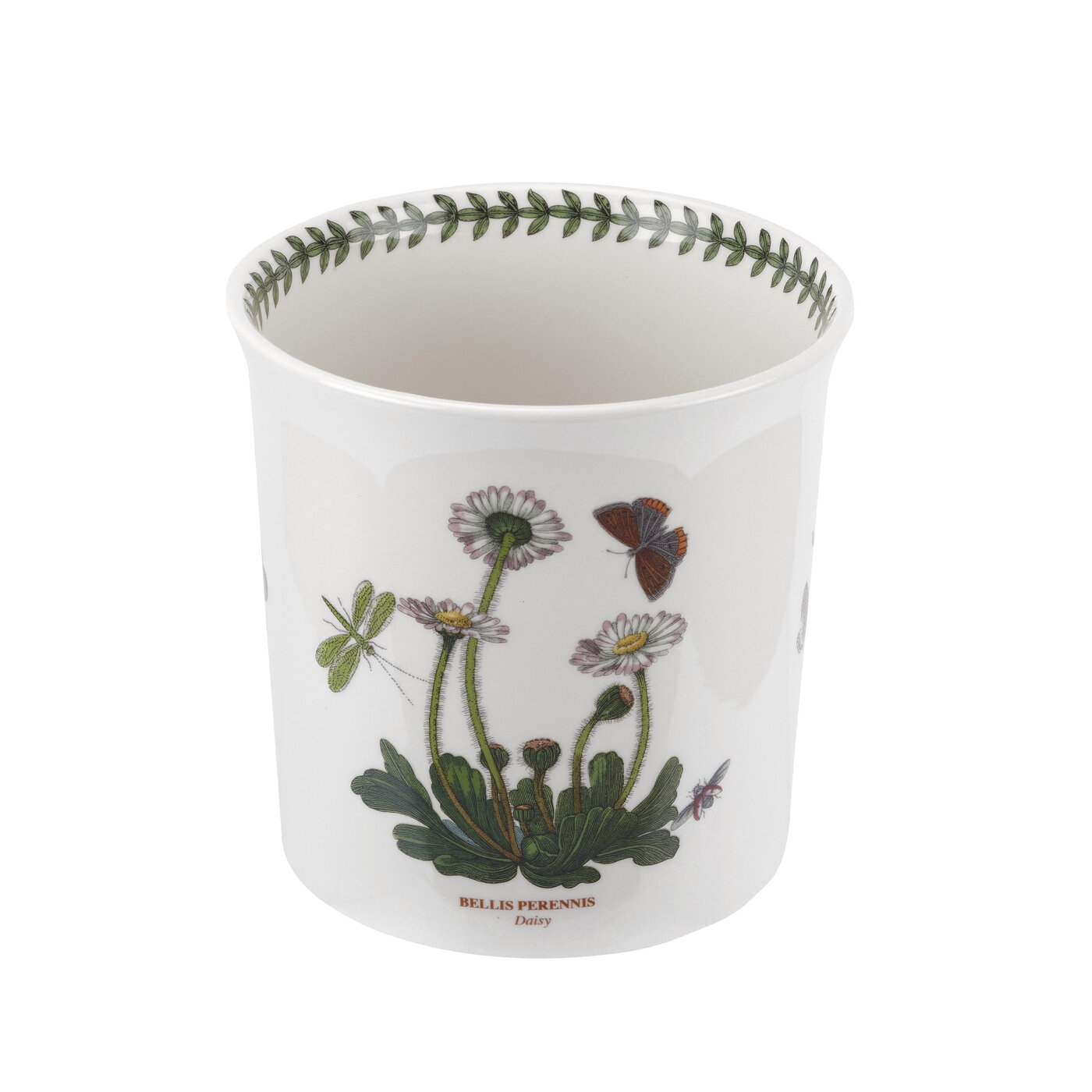 Botanic Garden 6 inch Orchid Pot image number null