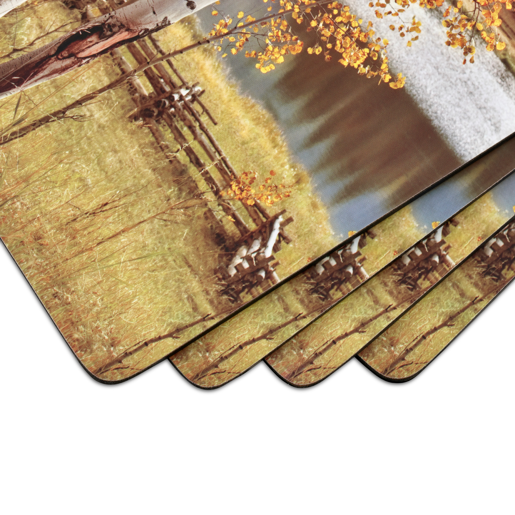 Birch Beauty Placemat Set of 4 image number null