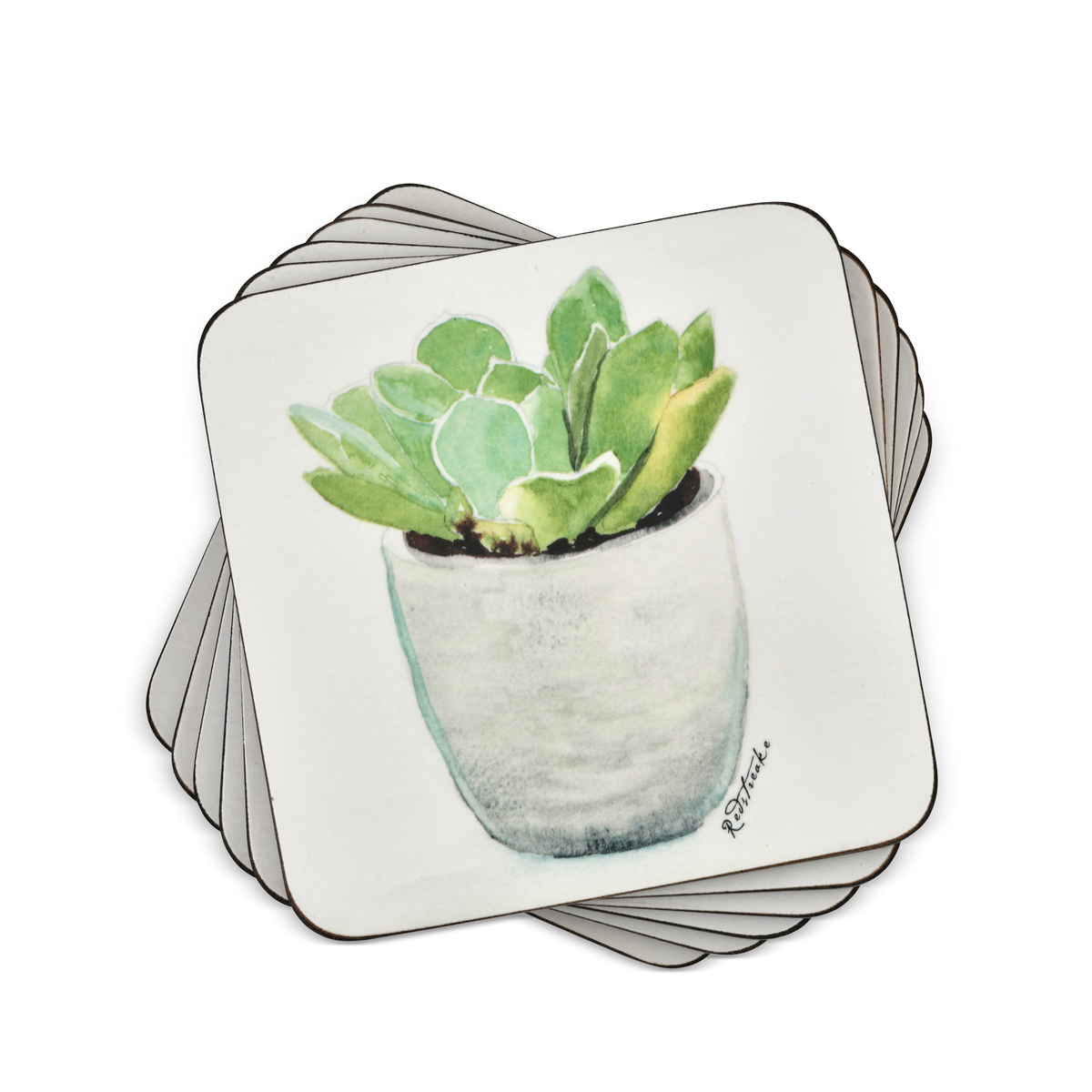 Succulents Set of 6 Coasters image number null