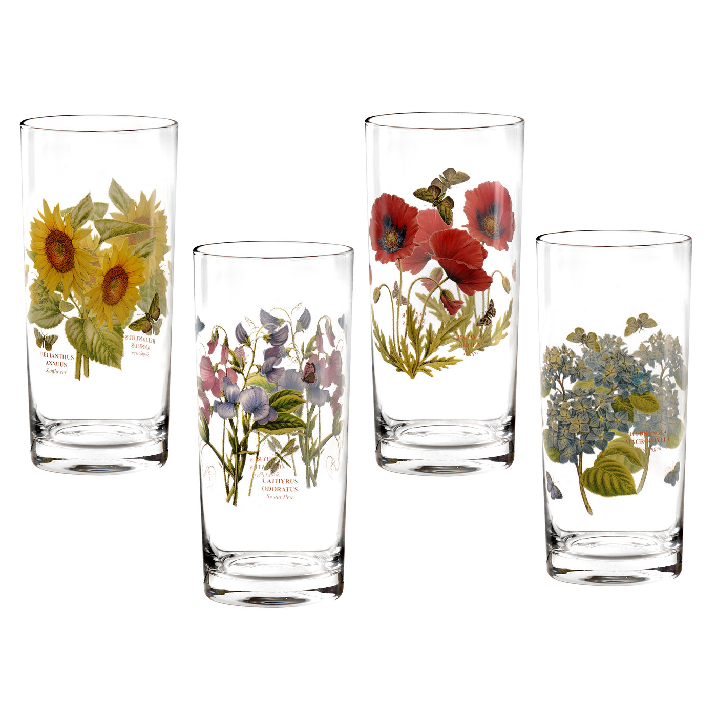 Botanic Garden 15 Ounce Set of 4 Highballs (Assorted) image number null