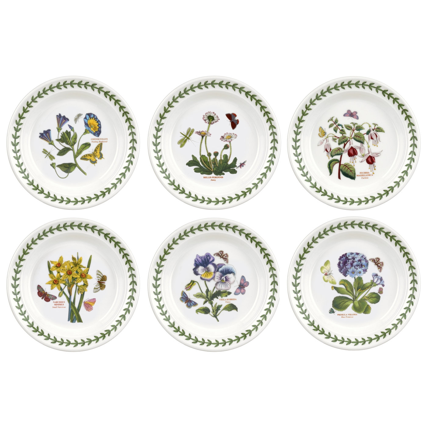 Botanic Garden 6.5 Inch Side Plate Set of 6 (Assorted Motifs) image number null