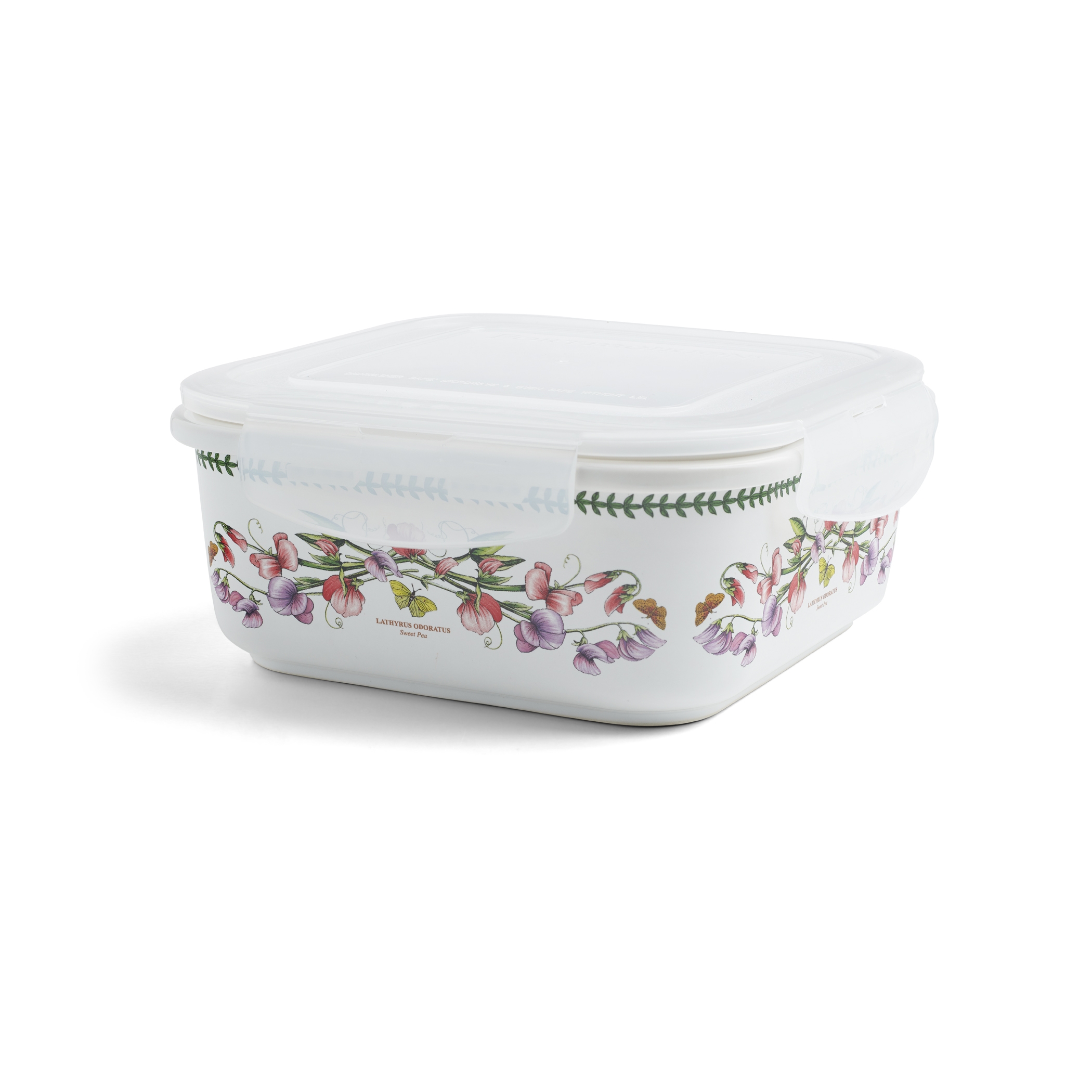 Botanic Garden Square Storage Container with Lock Lid Large image number null