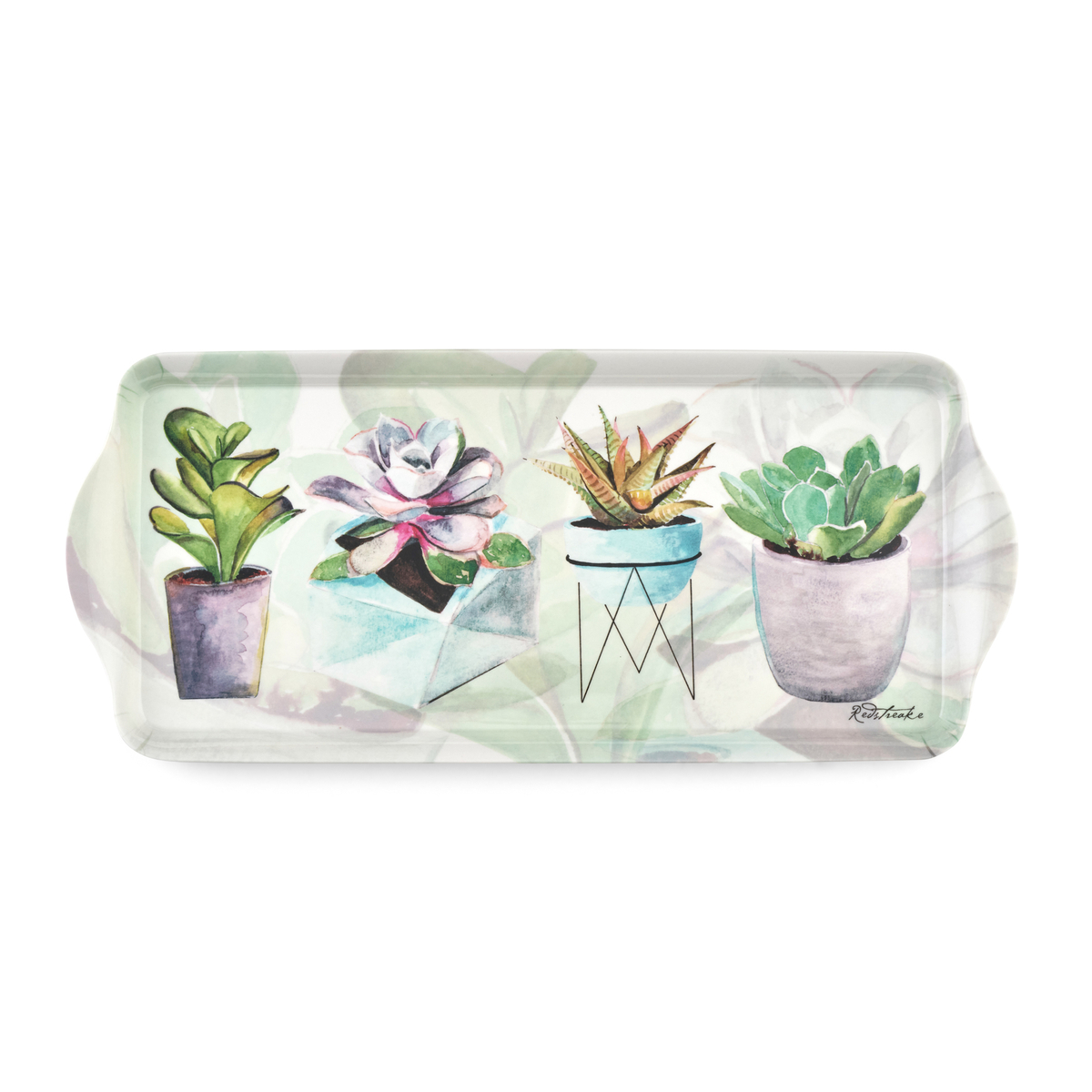 Succulents Sandwich Tray image number null