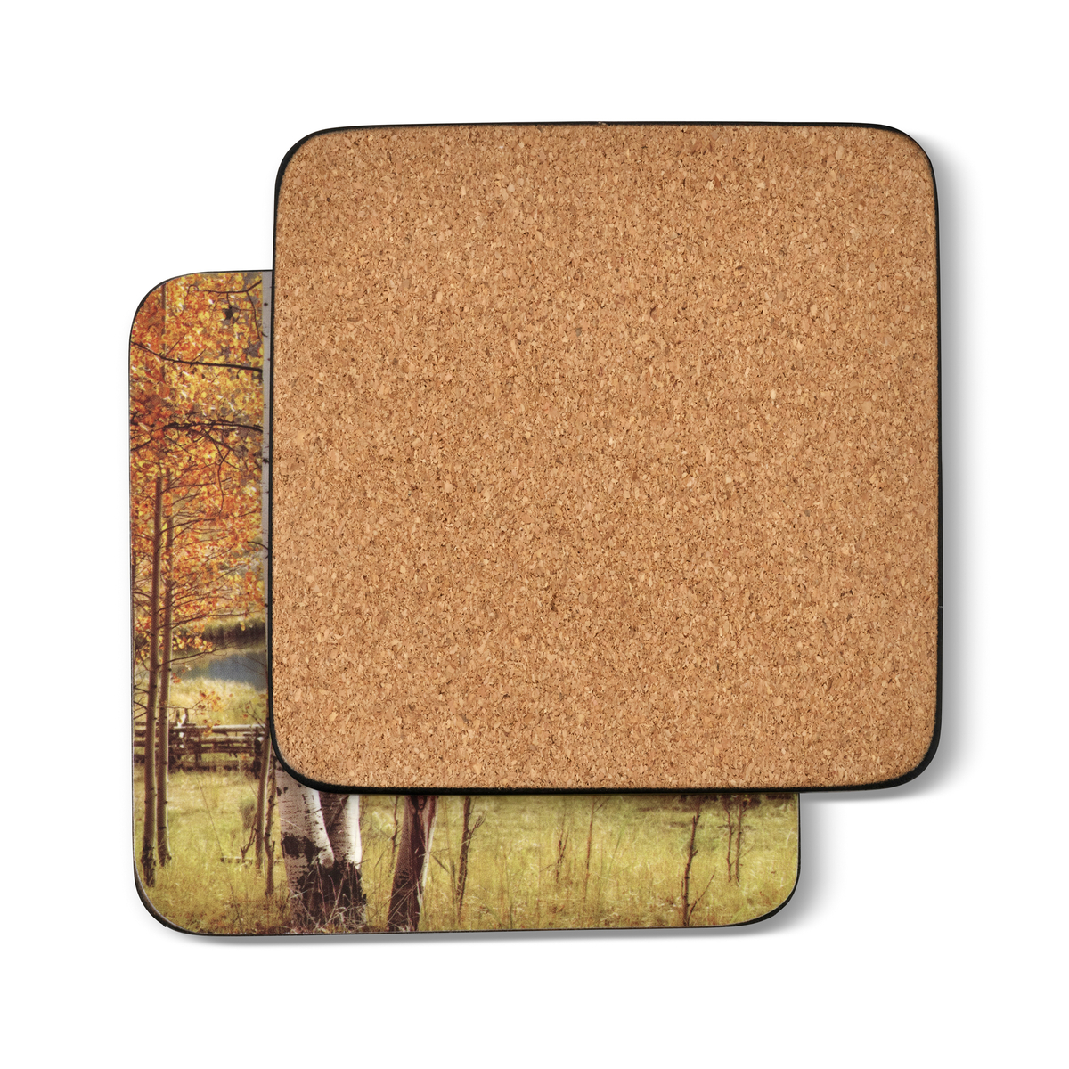 Birch Beauty Coasters Set of 6 image number null