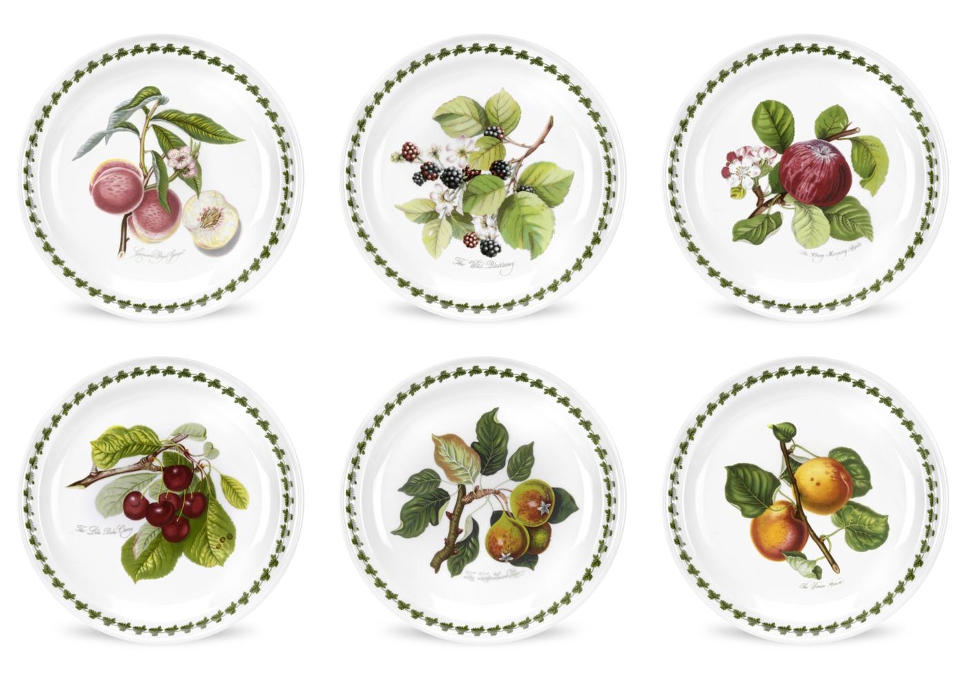 Pomona 8.5 Inch Salad Plate Set of 6 (Assorted Motifs) image number null