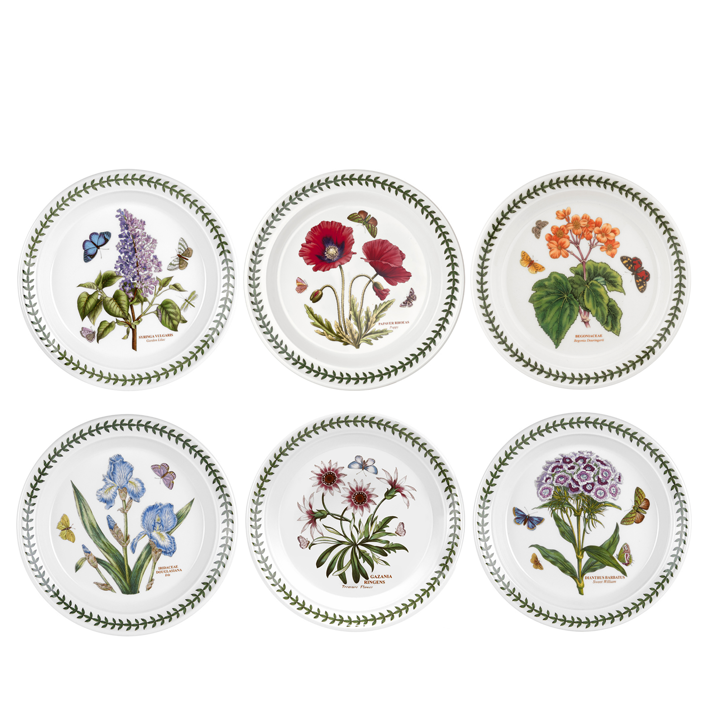 Botanic Garden 8.5 Inch Salad Plate Set of 6 (Assorted Motifs) image number null