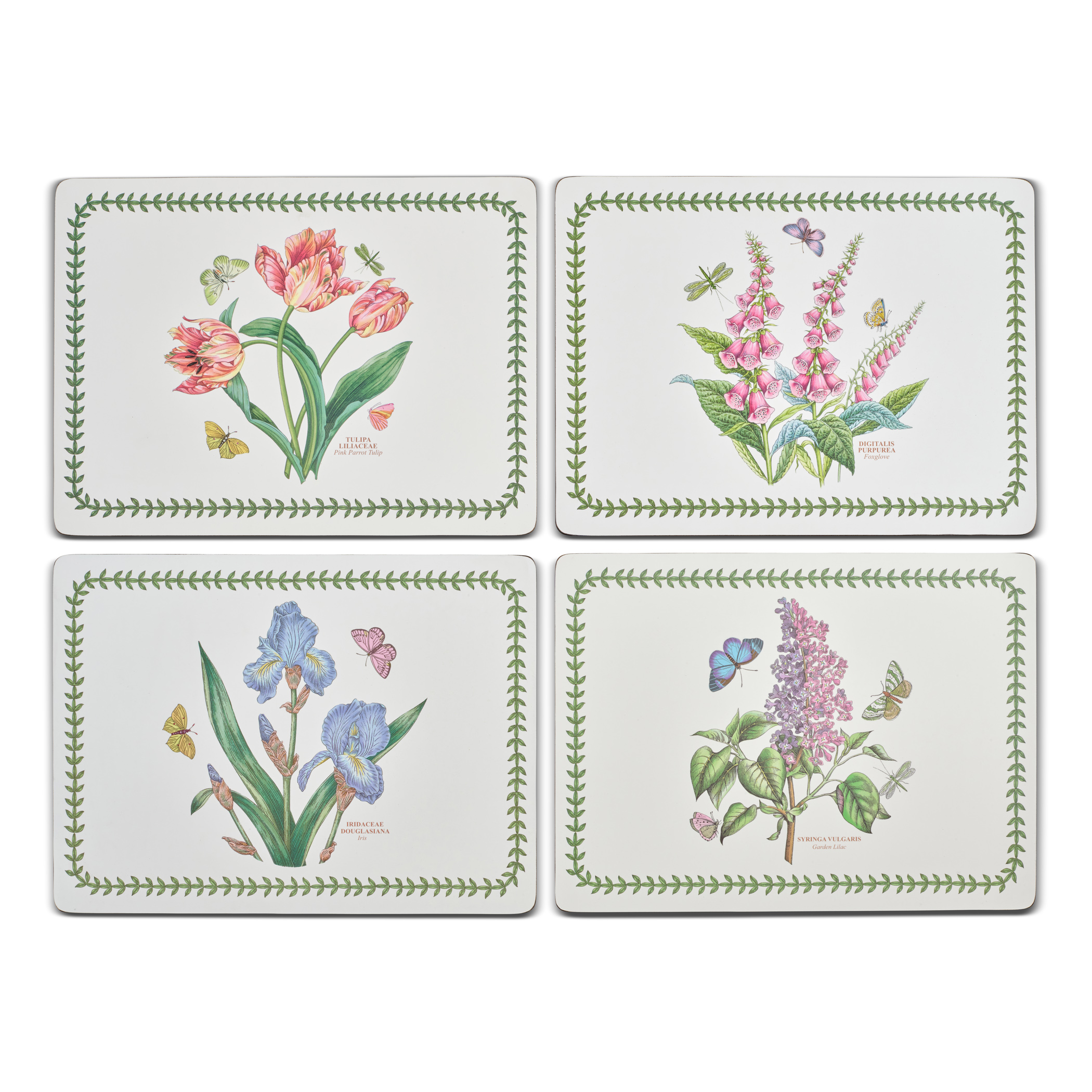 Botanic Garden Placemats Set of 4 image number null