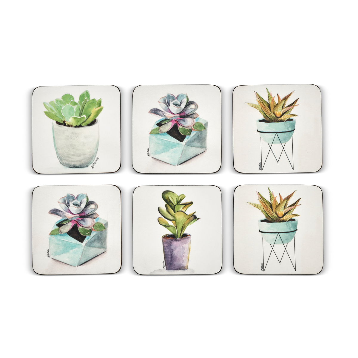 Succulents Set of 6 Coasters image number null