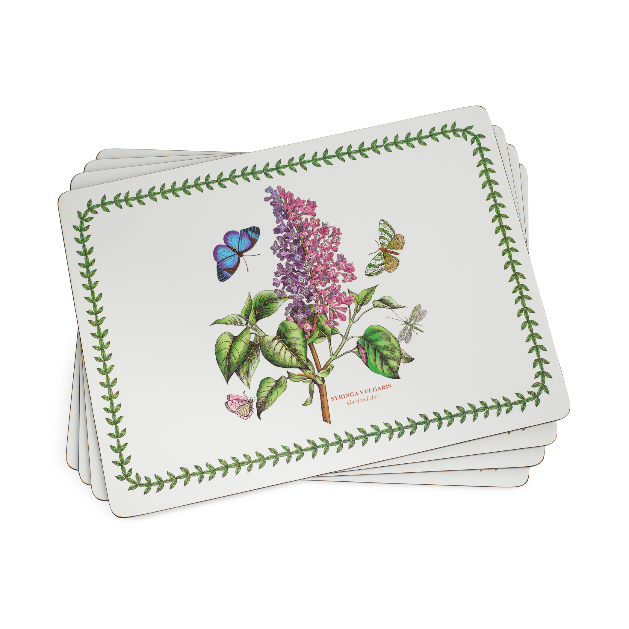 Botanic Garden Placemats Set of 4 image number null