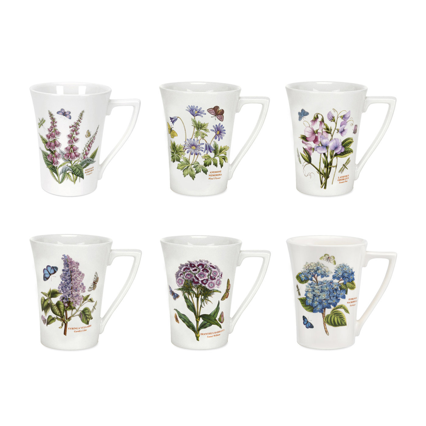 Botanic Garden 10 Ounce Mandarin Mug Set of 6 (Assorted Motifs) image number null