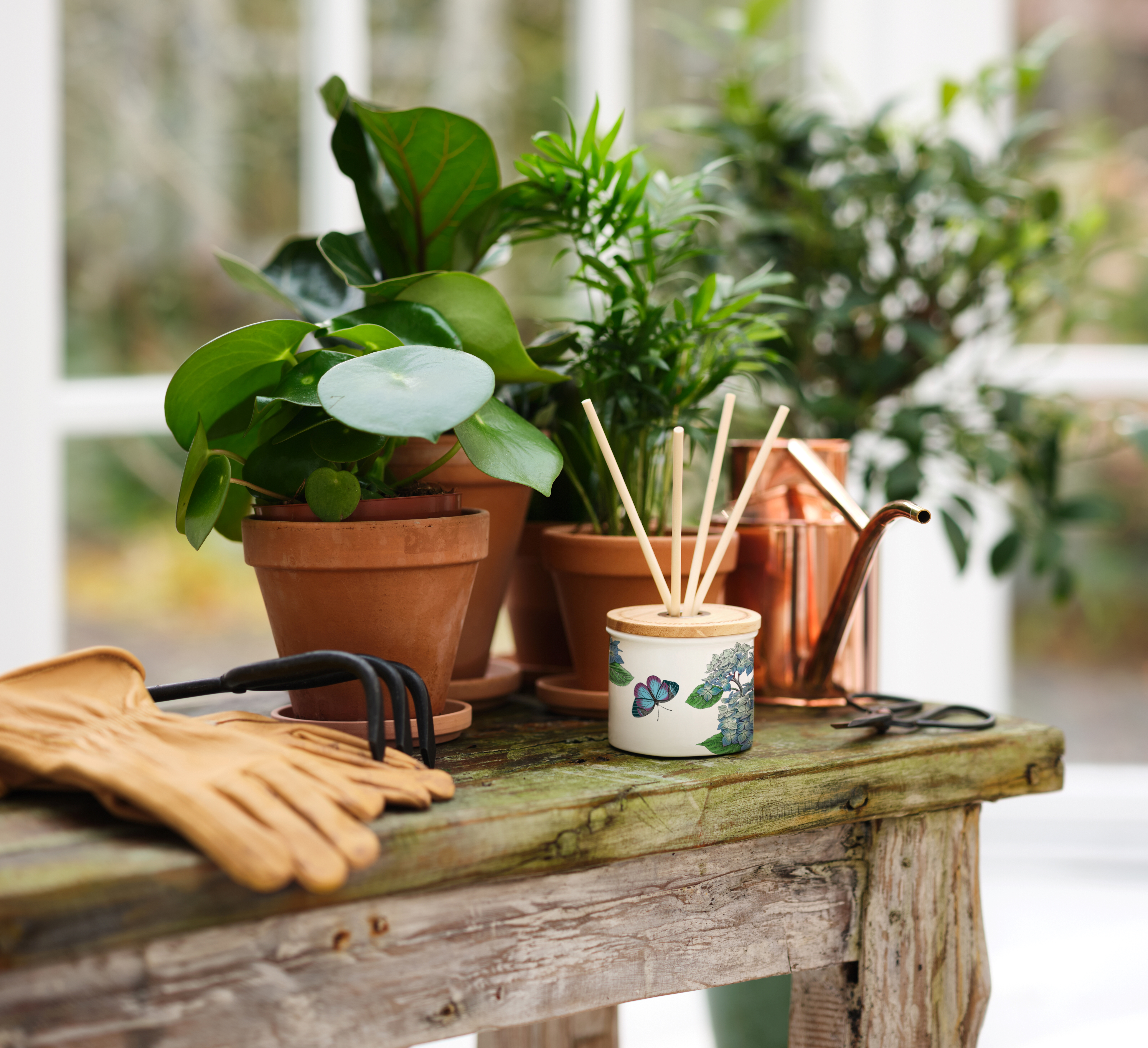 Botanic Garden Hydrangea Reed Diffuser image number null